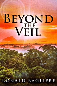 Cover Beyond the Veil