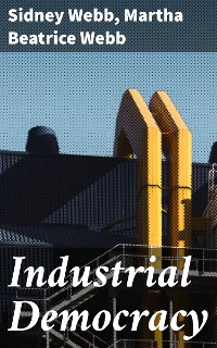 Cover Industrial Democracy