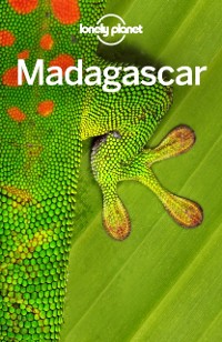 Cover Lonely Planet Madagascar