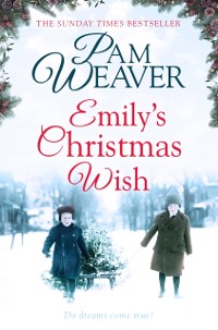 Cover Emily's Christmas Wish