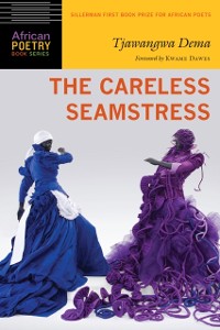 Cover Careless Seamstress