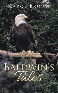Cover Baldwin's Tales