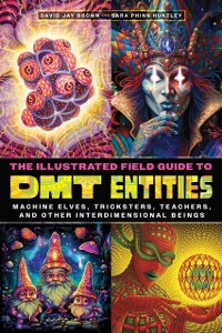 Cover Illustrated Field Guide to DMT Entities