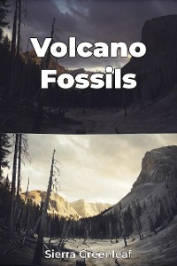 Cover Volcano Fossils