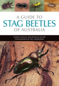 Cover A Guide to Stag Beetles of Australia