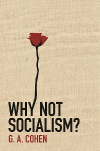 Cover Why Not Socialism?