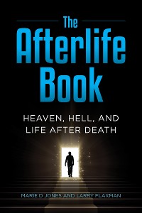 Cover The Afterlife Book