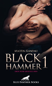 Cover Black Hammer 1! Erotische Geschichten
