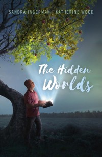 Cover Hidden Worlds