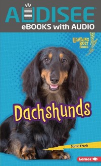 Cover Dachshunds