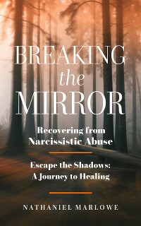 Cover Breaking the Mirror