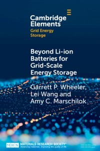 Cover Beyond Li-ion Batteries for Grid-Scale Energy Storage