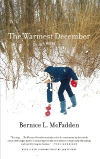 Cover The Warmest December