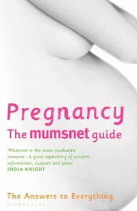 Cover Pregnancy: The Mumsnet Guide