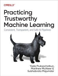 Cover Practicing Trustworthy Machine Learning