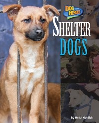 Cover Shelter Dogs