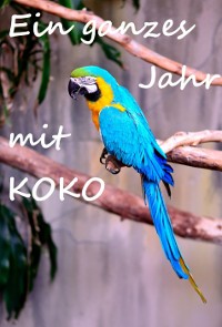 Cover Ein ganzes Jahr mit Koko