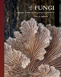 Cover The Lives of Fungi