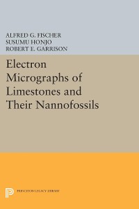 Cover Electron Micrographs of Limestones and Their Nannofossils