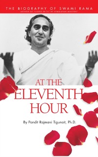 Cover At the Eleventh Hour