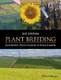 Cover Plant Breeding