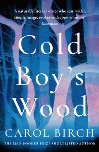 Cover Cold Boy's Wood