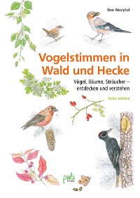Cover Vogelstimmen in Wald und Hecke
