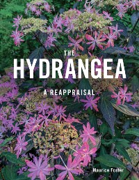 Cover The Hydrangea