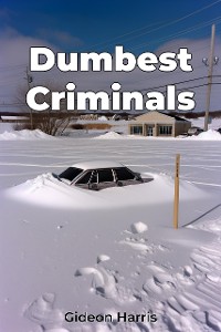 Cover Dumbest Criminals