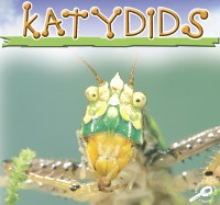 Cover Katydids