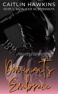 Cover Dominant’s Embrace - 21 Stories Seduction and Submission: