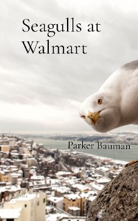 Cover Seagulls at Walmart