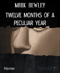 Cover TWELVE MONTHS OF A PECULIAR YEAR