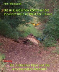 Cover Teil 3 Johannes Klein und das verschwundene Feenreich