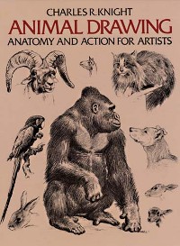 Cover Animal Drawing