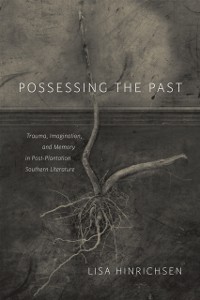 Cover Possessing the Past