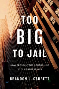 Cover Too Big to Jail