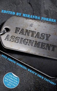 Cover Fantasy Assignment