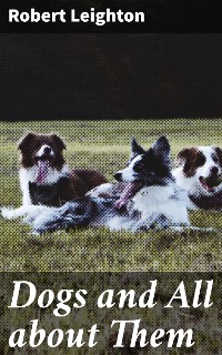 Cover Dogs and All about Them