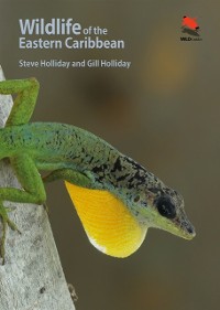 Cover Wildlife of the Eastern Caribbean