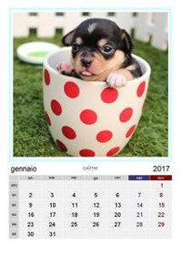 Cover Calendario amici a 4 zampe 2017