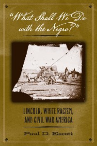 Cover "What Shall We Do with the Negro?"