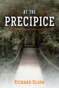 Cover At The Precipice