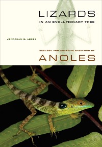 Cover Lizards in an Evolutionary Tree