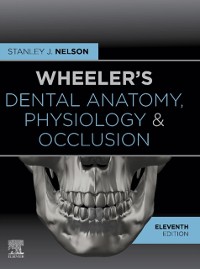 Cover Wheeler's Dental Anatomy, Physiology and Occlusion - E-Book