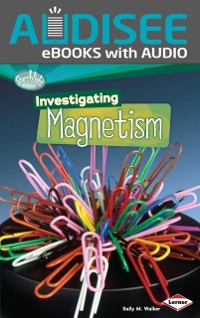 Cover Investigating Magnetism