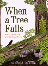 Cover When a Tree Falls