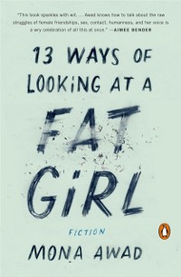 Cover 13 Ways of Looking at a Fat Girl