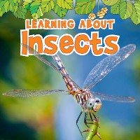 Cover Learning About Insects