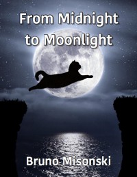 Cover From Midnight to Moonlight